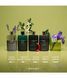Gucci винні наливні парфуми Homme 90мл 80066035-C-80066035-90 фото 5